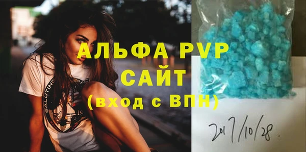 сатива Ростов