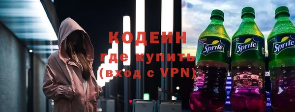 крисы Ельня