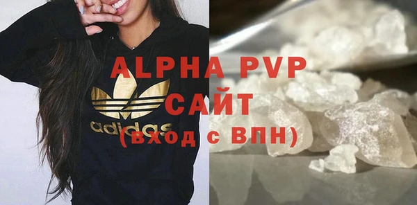 сатива Ростов
