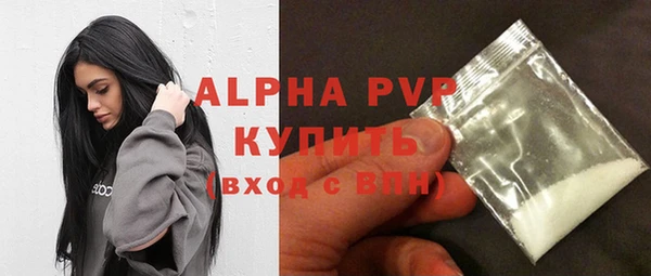 амф Елизово