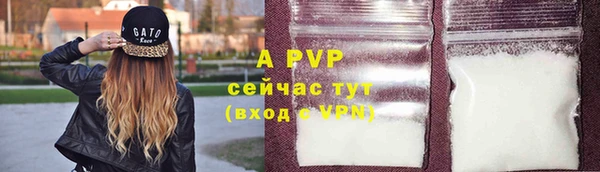 сатива Ростов