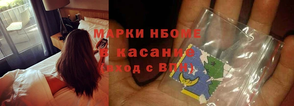 крисы Ельня