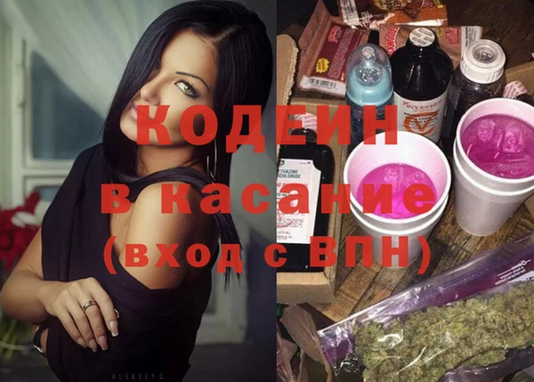 крисы Ельня