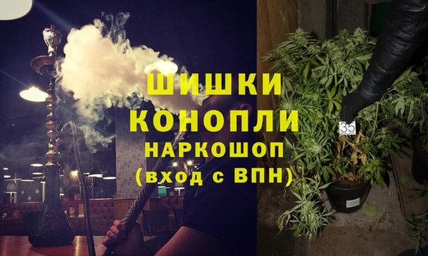 амф Елизово