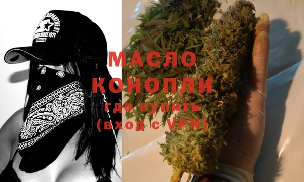 крисы Ельня