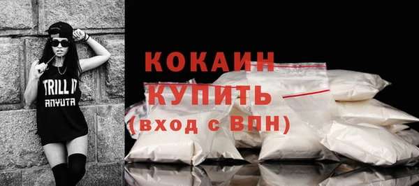 амф Елизово