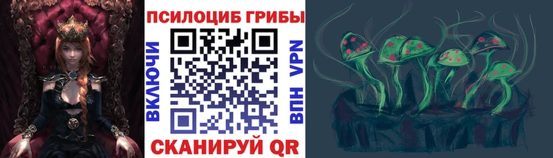 Псилоцибиновые грибы мухоморы  где можно купить наркотик  Нерчинск 